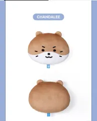 SEVENTEEN ディノ ミニ틴 チャン・ダル・イ・チャン FACE クッション