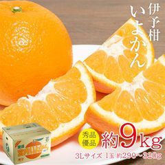 送料無料 愛媛県産 秀品 優品 伊予柑 いよかん 1箱 約9kg 3Lサイズ 大玉 みかん 国産 ご家庭用 オレンジ ミカン みかん ご自宅用 果物 くだもの 敬老の日 ギフト