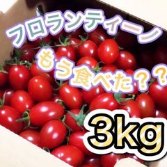 【フロランティーノ3㎏】高糖度フルーツミニトマト　2021/12/13出荷分