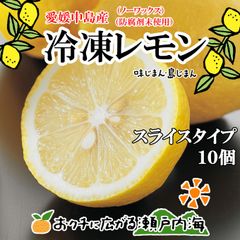 希望の島 国産レモン 500g×10個 【冷凍スライスレモン レモンサワー用】