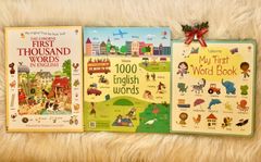 正規輸入新品　Usborne English Words　3冊セット 英語辞典