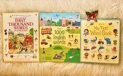 正規輸入新品　Usborne English Words　3冊セット 英語辞典のサムネイル