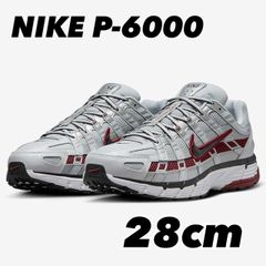 NIKE P-6000 Pure platinum/metallic platinum/white CD6404-020 28cm