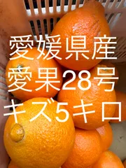 愛媛県産 島育ち農家直送~愛果28号（紅まどんな同品種 訳有り5キロ