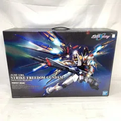 PG 機動戦士ガンダムSEED ストライクフリーダムガンダム ジャンク PG 機動戦士ガンダムSEED ストライクフリーダムガンダム ジャンク