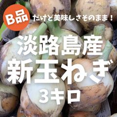 残り僅か！淡路島産　B品　新玉ねぎ3ｋｇ