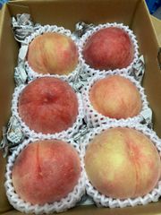 シーズン最終🙇激安長野県産　家庭用　桃　1.5kg〜　5玉〜6玉入り　お手頃　クール便送料無料！　フォロワー様クーポン配布致します☺️