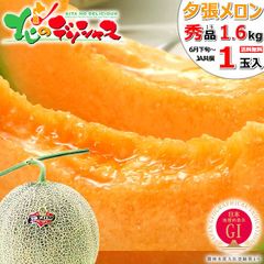 【出荷中】 北海道産 夕張メロン 1玉 (共撰/秀品/1玉 1.6kg) 大玉 メロン 赤肉メロン ゆうばりメロン 果物 フルーツ お中元 ギフト 贈り物 お祝い 内祝い プレゼント ご家庭用 北海道 グルメ お取り寄せ