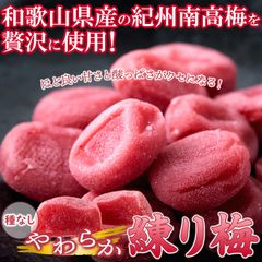 【200g】やわらか練り梅 南高梅の美味しさがギュッと詰まった スイーツ 和菓子 sweets