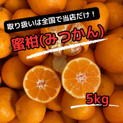 蜜柑/みつかん/無選別/5kg送料込