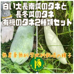 白い大長南瓜（かぼちゃ）のタネ5粒と長冬瓜（とうがん）のタネ10粒　無農薬・無科学肥料栽培のタネセット