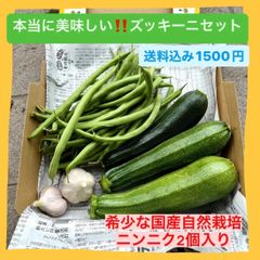 なっちゃんの朝採れ野菜【国産自然栽培ニンニク入り】
