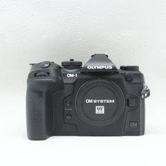 OM SYSTEM OM-1