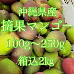 沖縄県産　摘果マンゴー　箱込2キロ