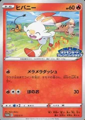 ハリマロン ヒバニー プロモ 2025年最新】ヒバニー プロモの人気アイテム - メルカリ