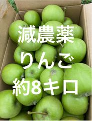 減農薬！青森県産摘果りんご約8キロ 大きめ