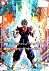 2025年最新】ベジット SCR fb02-139の人気アイテム - メルカリ