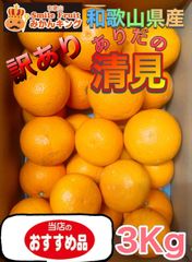 SmileFruitみかんキング - メルカリShops