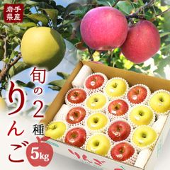 岩手県産 産地直送 りんご 食べ比べ サンふじ シナノゴールド 5kg 送料無料 果物