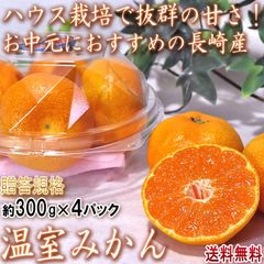 ハウス蜜柑 300g×4パック 長崎県産 贈答規格 JA共撰品 丁寧な栽培で甘み豊かな温州みかん！お中元などギフト最適な味と品質