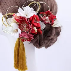 イナリ商事 レディス 髪飾り 成人式 卒業式 結婚式 専用ケース付き(red,  クイーン)