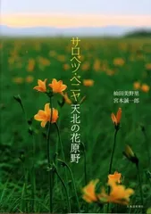 2024年最新】サロベツ原野の人気アイテム - メルカリ