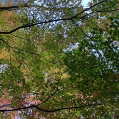 GARNET CROW REMIXES Cool City Production - メルカリ