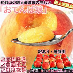 【1～3週間出荷予定】産地直送 桃 和歌山産 おてんば娘 約4kg 14～20玉 訳あり わけあり 家庭用 日本屈指の桃産地で育てた抜群の味と鮮度！ 白桃 白鳳