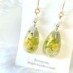 雫　カスミソウドライフラワーピアス　グリーン　ハンドメイド　レジン
