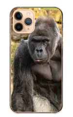 シンプルスマホ6 A201SH ケース カバー スマホケース ハードケース ゴリラ ごりら gorilla ワイルド イケメン かっこいい カッコイイ 動物 アニマル カラー03