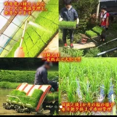 2024年最新】山水電気の人気アイテム - メルカリ