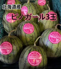 セール 北海道産 3玉入り ピノガール 自根苗栽培 S〜Mサイズ - メルカリ