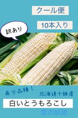 あきちゃんの白いとうもろこしクール便 10本