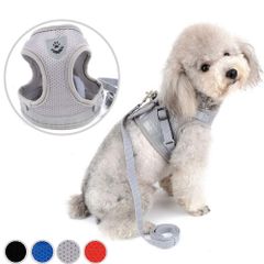 Item thumbnail for item a03bc2ac-3abd-439e-ab95-e7e24097a971