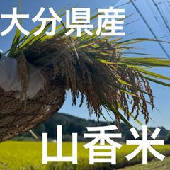 新米✨大分県産 山香米 令和7年産 5kg - メルカリ