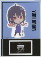 [Used] Acrylic Stand・Acrylic Panel Yuri Briar "SPY×FAMILY×PRONTO 2nd Edition Acrylic Panel"Stand"