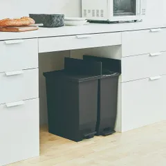ゴミ箱 ダストボックス 35L ペダル式 キャスター付き ツイン 両開き 観音開き ごみ箱 フタ付き 袋止め付き 抗菌 防汚 キッチン リビング カップボード下 棚下 カウンター下 分別 コンパクト ブラック 黒