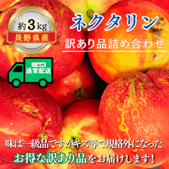 ネクタリン〜訳あり品詰め合わせ〜【内容量】約3kg【配送方法】通常配送【サイズ】ミックス【品目】ネクタリン【品種】ミックス【産地】長野県【規格】ご家庭用B品【販売会社】有限会社青木