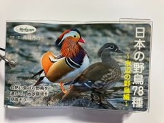 ☆値下げ☆送料無料☆カードブック（野鳥図鑑　ポケットタイプ） 日本の野鳥78種～水辺の野鳥編～新発売