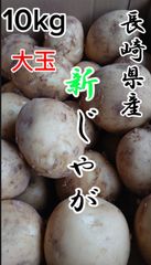 長崎県産 新じゃがいも  赤秀品 大玉 10kg