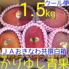 沖縄県産 ミニマンゴーＢ品 約３kg【常温便】① 沖縄県産ミニマンゴー 500g×3パック（1.5kg）（送料無料