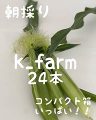 ヤングコーン　ベビーコーン　ヒゲつき　農家直送　朝採り　新鮮野菜