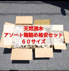 【送料無料】国産 南信州産 天然流木●おまかせ アソート箱詰め お得格安セット【６０サイズ】流木卸売 流木格安セット 流木まとめ売り