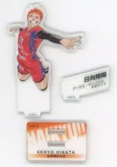 2025年最新】ハイキュー!! 10thクロニクル グッズ付き同梱版の人気