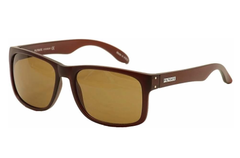 FILTRATE Sink Choc Matte / Brown Lens ウェリントン サングラス