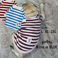 新品 犬服 ボーダー丸首トレーナー