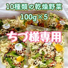 【ちづ様専用】10種類の乾燥野菜100g×5
