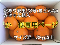 えひめ県産愛果28号(まどんな)
