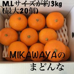 愛媛県産　愛果28号(まどんな) M-Lサイズ約3kg  みきゃん箱入