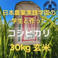 農業学校の【コシヒカリ】玄米30kg【令和5年産新米】お米　コシヒカリ30キロ